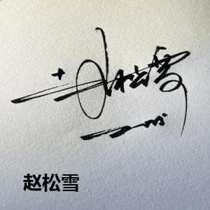  赵松雪
